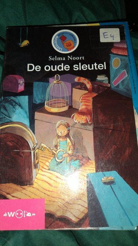 De oude sleutel - Leesleeuw, Boeken, Overige Boeken, Gelezen, Verzenden