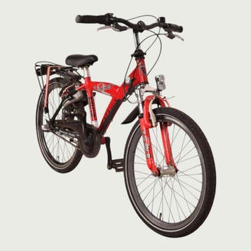 Batavus kinderfiets 22 inch, Ophalen of Verzenden, Gebruikt, Batavus