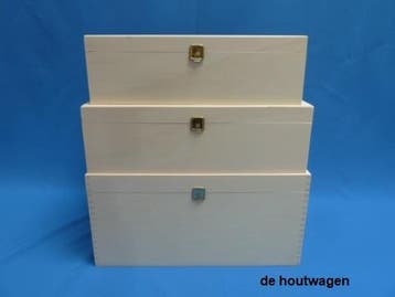 kist met deksel Max verkrijgbaar in 3 afmetingen, Huis en Inrichting, Woonaccessoires | Kisten, Minder dan 50 cm, Nieuw, Minder dan 50 cm
