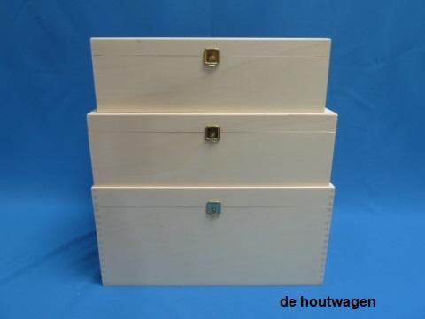 kist met deksel Max verkrijgbaar in 3 afmetingen, Huis en Inrichting, Woonaccessoires | Kisten, Minder dan 50 cm, Nieuw, Overige houtsoorten