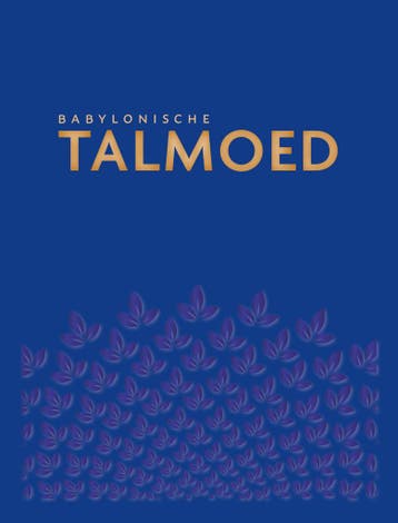 Babylonische Talmoed Sanhedrien 1 en 2 - Jacob de Leeuwe, Boeken, Verzenden, Gelezen, Jacob de Leeuwe
