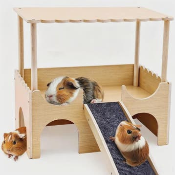 Houten Kasteel Speelhuisje voor Cavia's en Kleine Huisdieren, Verzenden, Nieuw