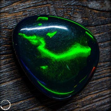 Black Opal – diepdonker lichaam met spectaculair neongroen