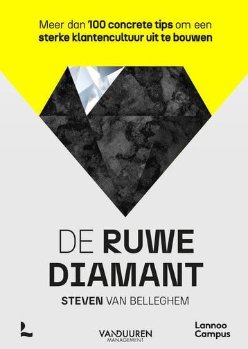 Boek De ruwe diamant 9789401495455, Verzenden, Zo goed als nieuw