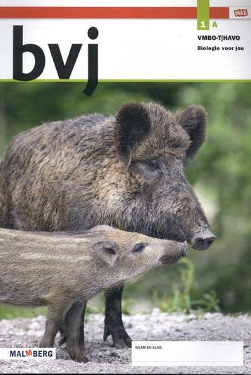 9789402068450 bvj MAX 1 vmbo-t/havo Deel A | Tweedehands, Verzenden, Zo goed als nieuw