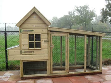 kippenhok met legnest kippenren op maat  nachthok kippen, Dieren en Toebehoren, Vrouwelijk, Kalkoen