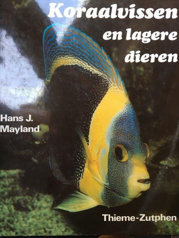 Koraalvissen en lagere dieren - Mayland 9789003970855, Verzenden, Gelezen, Mayland