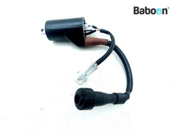 Bobine Royal Enfield Meteor 350 2021->, Verzenden, Gebruikt