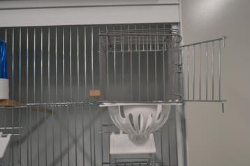 3840 voorhangnest draad met plastic nest, Dieren en Toebehoren, Vogels | Hokken en Kooien, Ophalen of Verzenden, Nieuw