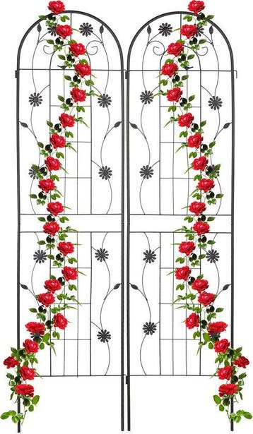 plantenklimrek set van 2, Tuin en Terras, Verzenden, Nieuw