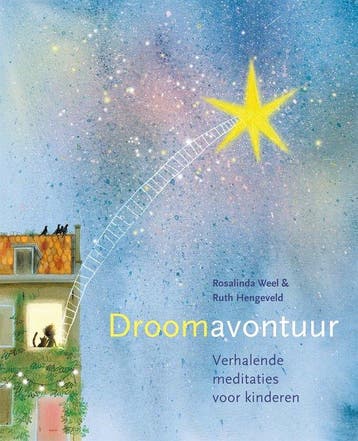 9789401305464 Droomavontuur | Tweedehands, Verzenden, Zo goed als nieuw, Rosalinda Weel