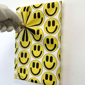 Santicri - Compressed Icon, Smile
