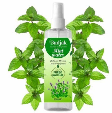 Biologische Bloemenwater van Munt - Mentha piperita -, Nieuw