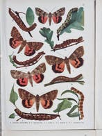Dirk ter Haar (1860-1905) - Paul Marius Keer (XX) - Lot of 9