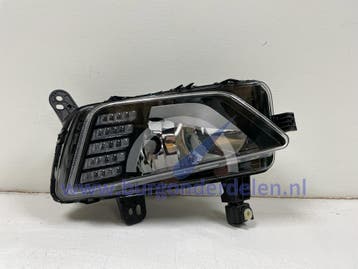 Mistlamp + Daglicht Rechts Geschikt Voor Polo 2G 2017-2021, Ophalen of Verzenden, Nieuw, Volkswagen