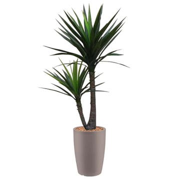 Yucca kunstplant, H200cm, Ophalen of Verzenden, Overige soorten, 200 cm of meer