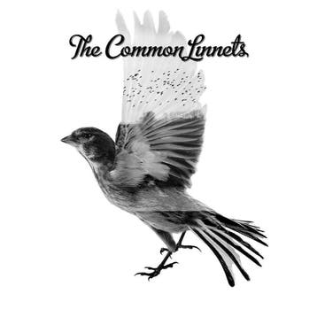 The Common Linnets - The Common Linnets (CD) 0602537800957, Verzenden, Nieuw in verpakking