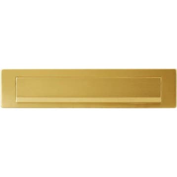 Brievenbus + klep - Aluminium - 31 x 8 cm - Licht goud, Verzenden, Nieuw