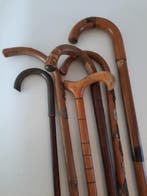 Wandelstok (6) - Hout - vintage wandelstokken
