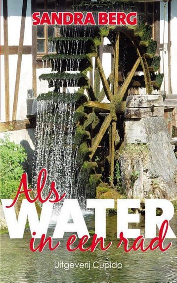 Als water in een rad - Sandra Berg 9789462041264, Verzenden, Zo goed als nieuw, Sandra Berg