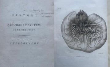 John Sheldon - The History of the Absorbent System, Part the