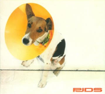 cd - PJDS - Away From God And Far From The Action, Verzenden, Zo goed als nieuw