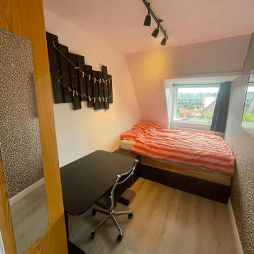 Kamer in Delft gevonden voor €480,- pm, Huizen en Kamers, Kamers te huur, Minder dan 20 m², Delft