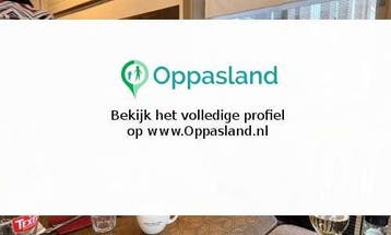 Ernst zoekt een oppas in Nieuwerkerk aan den IJssel voor...