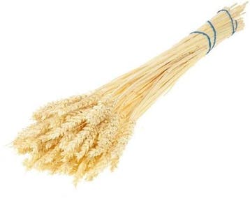 Tarwe droogbloemen Gebleekt per bundel, Ophalen of Verzenden, Nieuw