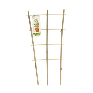 Klimrek planten | Gardalux | 46 x 24 cm | 3 stuks (Bamboe), Tuin en Terras, Verzenden