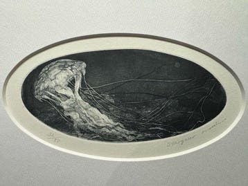 Etching Stargazer EDITION 32/50 (Framed) 2012 with