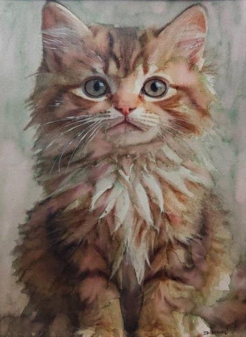 Davor Ivkovi (1965) - Cat