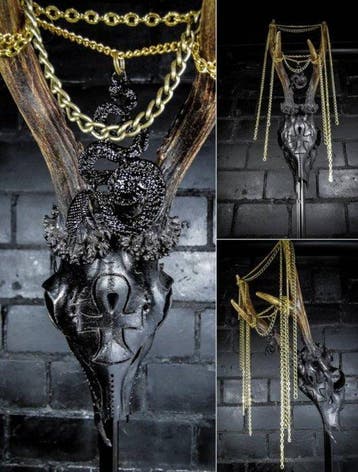 Ree Schedel - Caproleus caproleus - 30 cm - 11 cm - 10 cm -