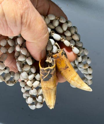 Prachtig zeldzaam stuk tribale sieraden van de Asmat - Asmat