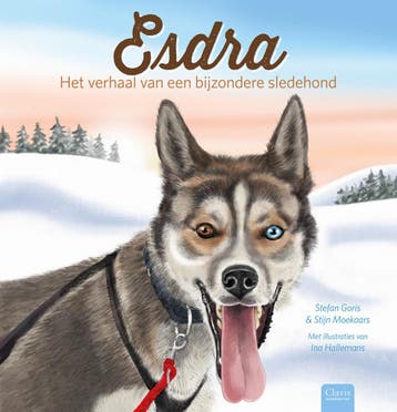Esdra - Stefan Goris 9789044832525, Verzenden, Gelezen, Stefan Goris