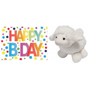 Pluche lammetje/schaap - 16 cm - met verjaardagskaart, Verzenden, Nieuw