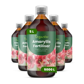 Amaryllis vloeibare meststof - Set van 5 x 1 liter, Verzenden, Mest