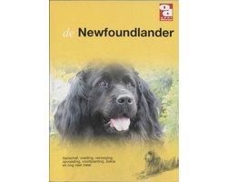 Newfoundlander - Newfoundlander, Ophalen of Verzenden, Nieuw