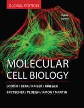 Molecular Cell Biology 9781464187445, Zo goed als nieuw