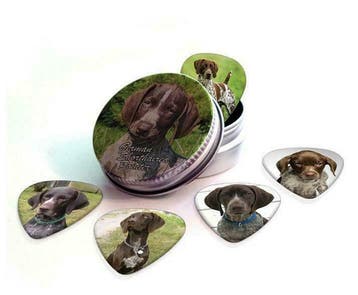 Blikje + plectrums afbeelding Duitse Korthaar Pointer hond, Ophalen of Verzenden, Nieuw
