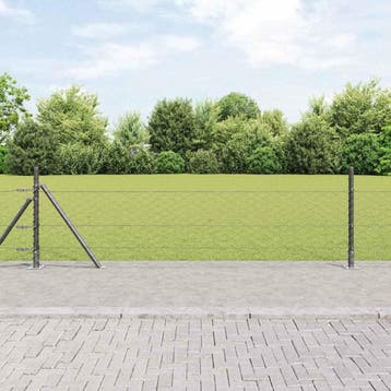 vidaXL zeshoekig gaashek met betonnen voetstuk 50 x 0,5 m, Tuin en Terras, Verzenden, Nieuw, IJzer