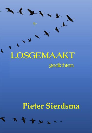 Losgemaakt - Pieter Sierdsma 9789464939293, Verzenden, Zo goed als nieuw, Pieter Sierdsma