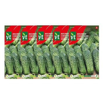 Augurk zaad | VT | 5 stuks, Verzenden
