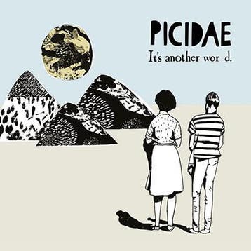 cd digi - Picidae - Its Another Wor d., Verzenden, Zo goed als nieuw