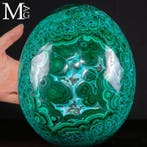 Uitzonderlijk malachiet-ei met chrysocolla – Zeldzaam