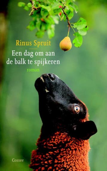 Een dag om aan de balk te spijkeren - Rinus Spruit, Boeken, Romans, Verzenden, Zo goed als nieuw, Rinus Spruit