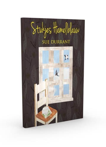 Stukjes hemelblauw - Sue Durrant 9789030501732, Verzenden, Gelezen, Sue Durrant