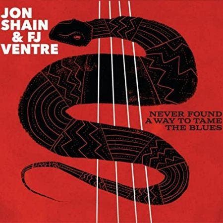 cd - Jon Shain &amp; FJ Ventre - Never Found A Way To Tam..., Cd's en Dvd's, Cd's | Jazz en Blues, Nieuw in verpakking, Verzenden