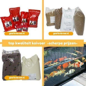 Koi Voer  van hoge kwaliteit en de beste Prijs!!, Dieren en Toebehoren, Vissen | Vijvervissen, Karper of Koi