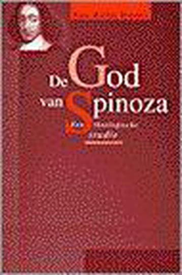De god van Spinoza / Kamper studies - Rinse Reeling Brouwer, Verzenden, Gelezen, Rinse Reeling Brouwer